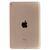 Корпус iPad mini 4 / Wi-Fi золото