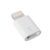 Переходник Lightning ↔ Micro USB, изображение 2