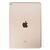 Корпус iPad Air 2 / Wi-Fi золото