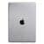 Корпус iPad Air 2 / Wi-Fi cерый космос