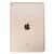 Корпус iPad Air 2 / Wi-Fi золото