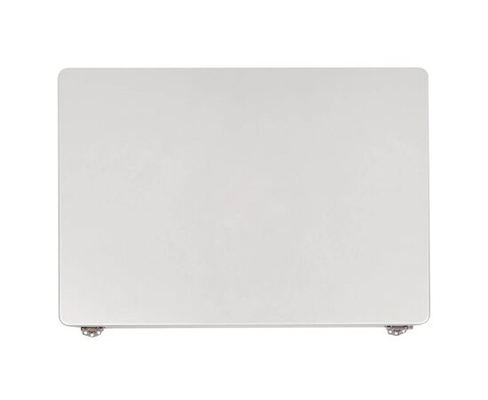 Дисплей / матрица в сборе MacBook Pro 14 A2442 A2779 Late 2021 Early 2023 Silver / Orig разбор