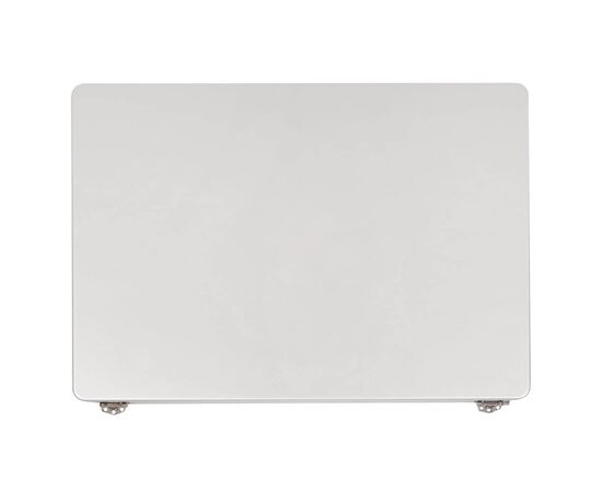 Дисплей / матрица в сборе MacBook Pro 14 A2442 A2779 Late 2021 Early 2023 Silver / Orig разбор